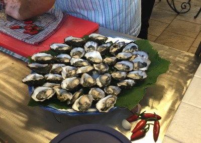 Oysters